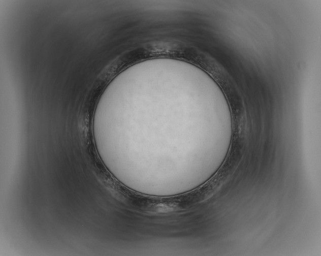 X0000111950737200908171317