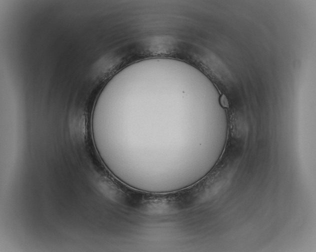 X0000111950740200908171317