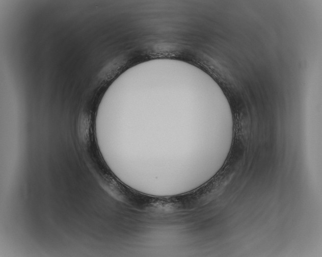 X0000111950742200908171317