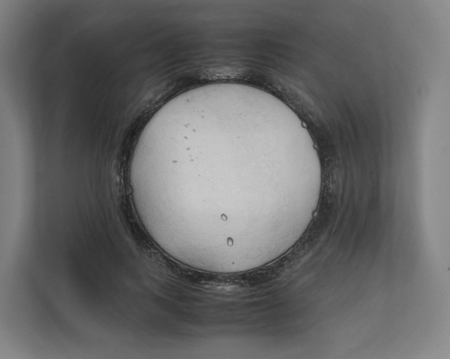 X0000111950743200908171317