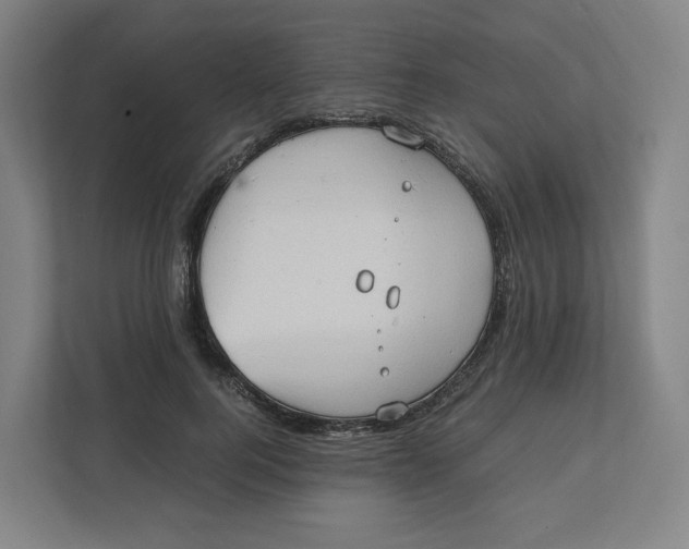 X0000111950744200908171317