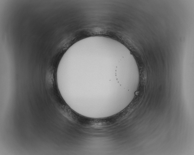 X0000111950746200908171317