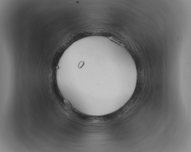 X0000111950750200908171317