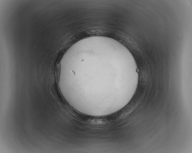 X0000111950751200908171317