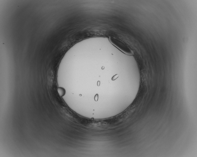 X0000111950752200908171317