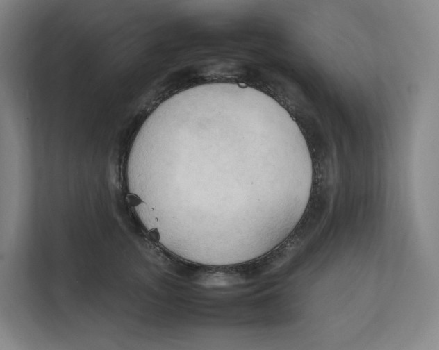 X0000111950755200908171317