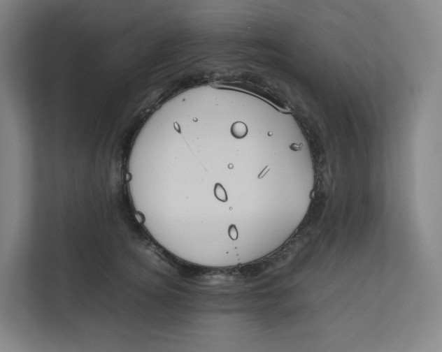 X0000111950756200908171317