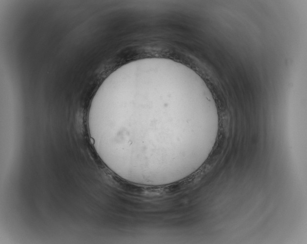 X0000111950757200908171317