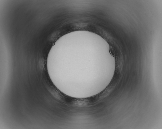 X0000111950758200908171317