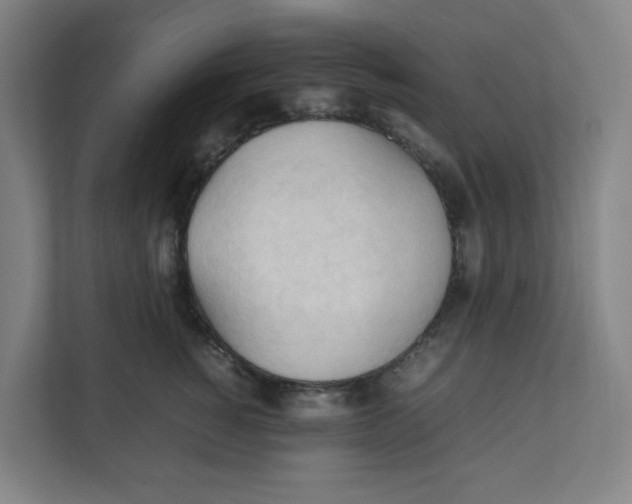 X0000111950760200908171317