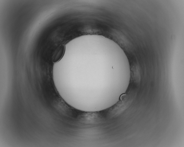 X0000111950762200908171317