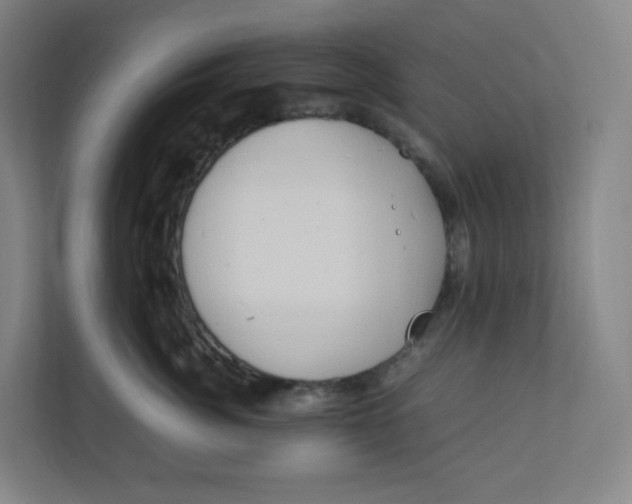 X0000111950764200908171317