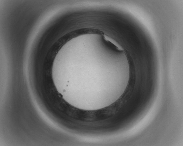 X0000111950766200908171317