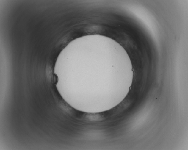 X0000111950767200908171317