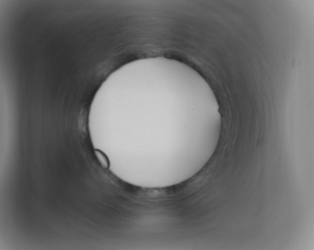 X0000111950768200908171317