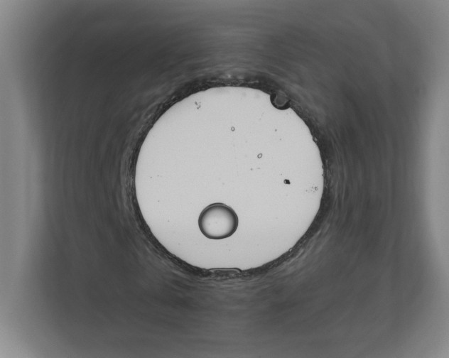 X0000111950769200908171317