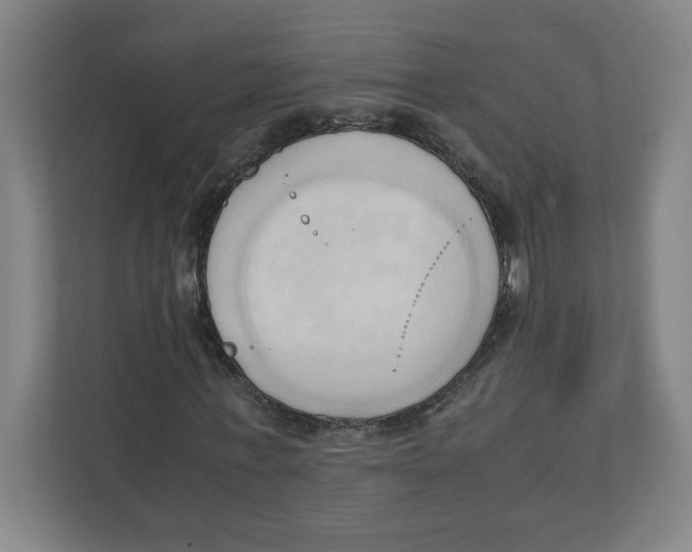 X0000111950771200908171317