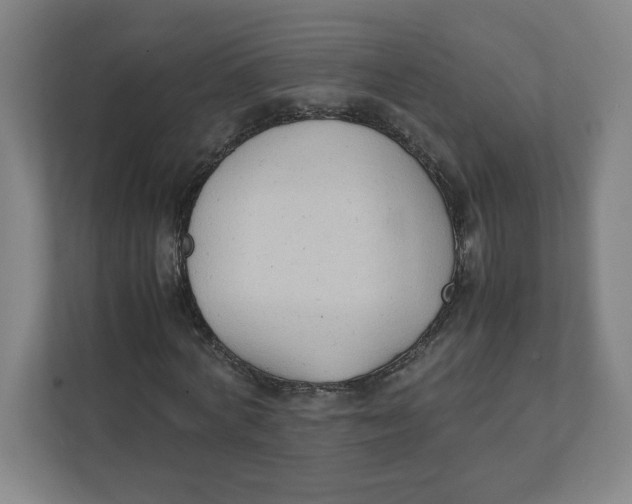 X0000111950772200908171317