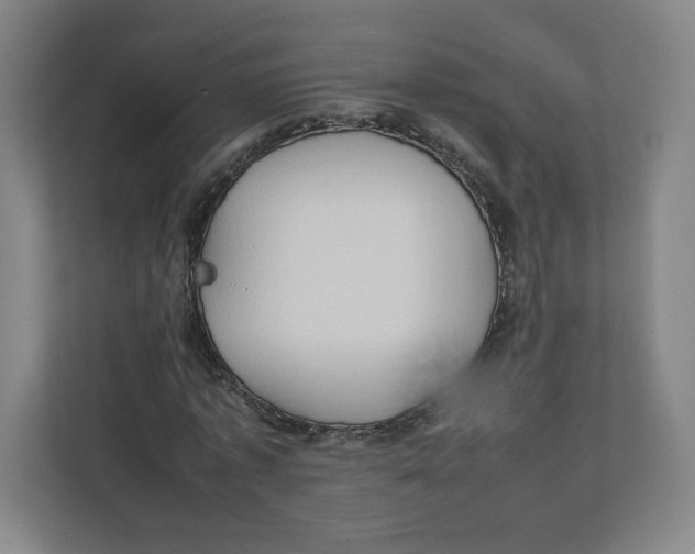 X0000111950773200908171317