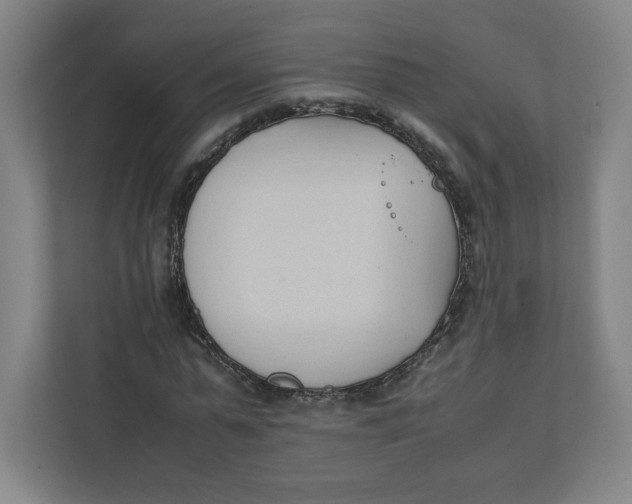 X0000111950775200908171317