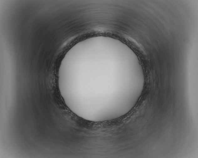 X0000111950776200908171317