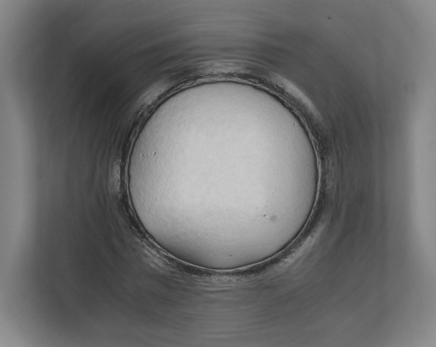 X0000111950777200908171317