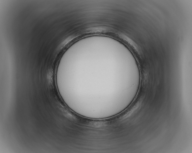 X0000111950778200908171317