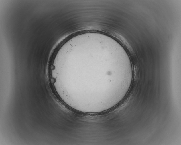 X0000111950780200908171317