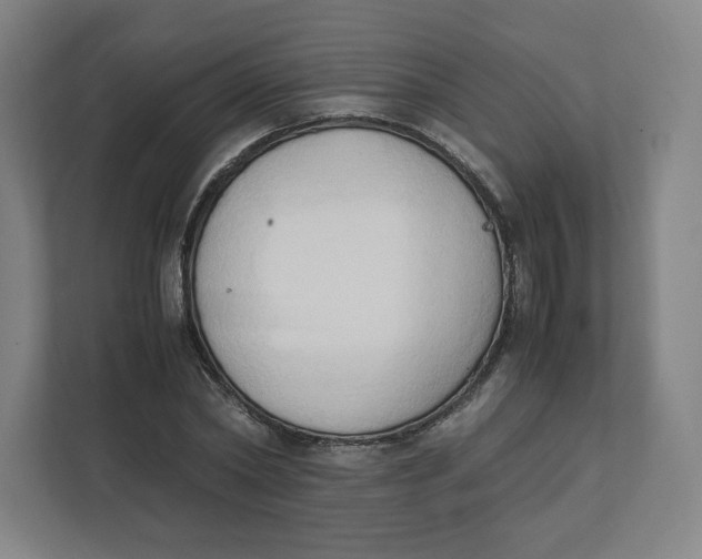 X0000111950782200908171317