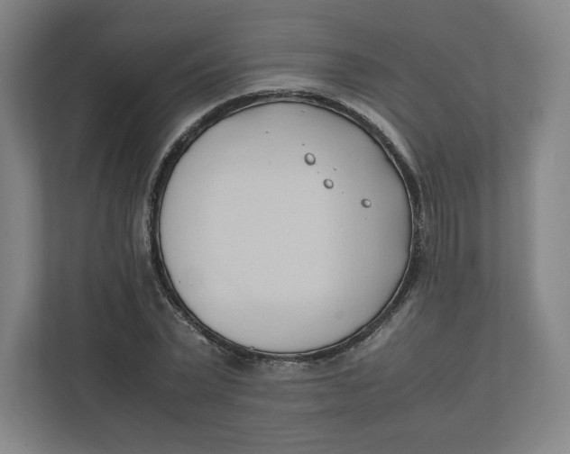 X0000111950783200908171317