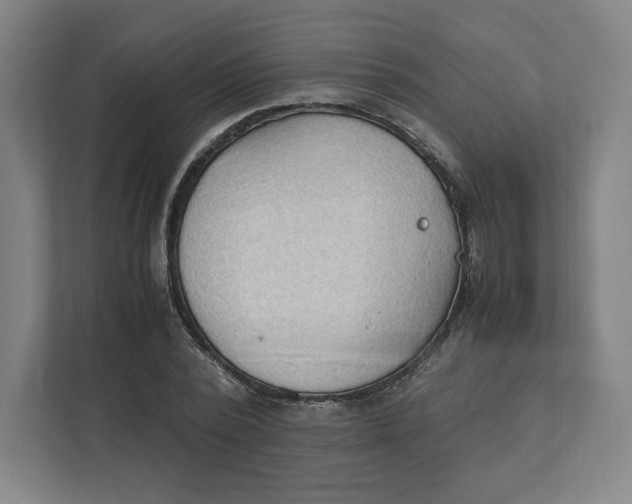 X0000111950784200908171317