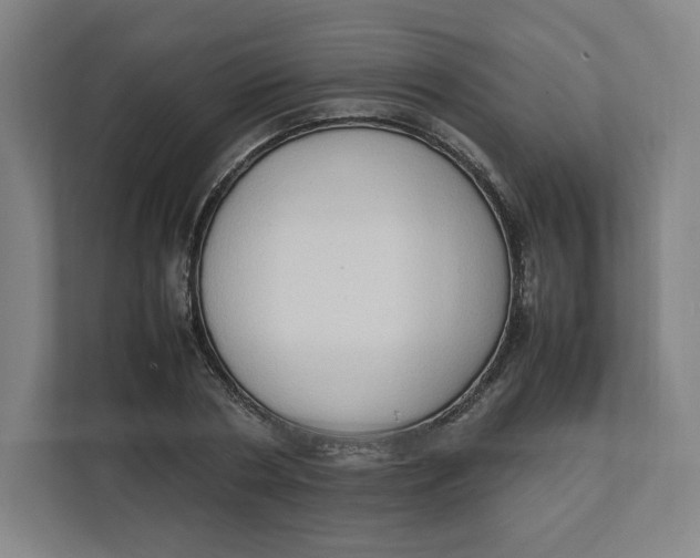 X0000111950786200908171317