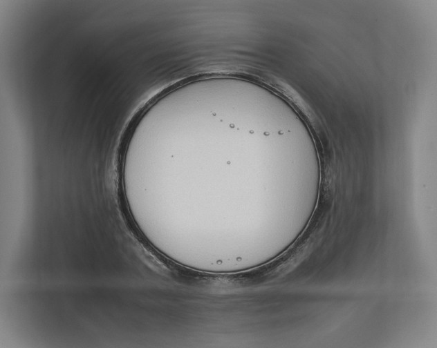 X0000111950787200908171317