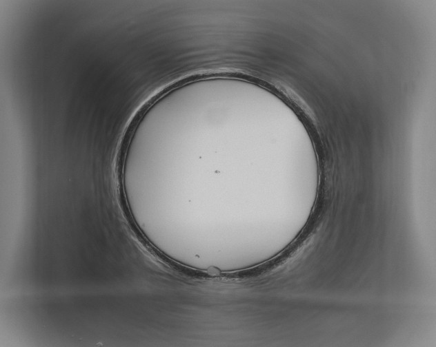 X0000111950789200908171317