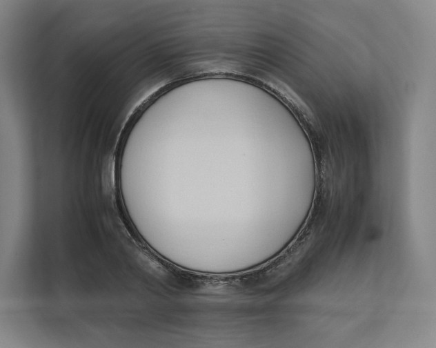 X0000111950790200908171317