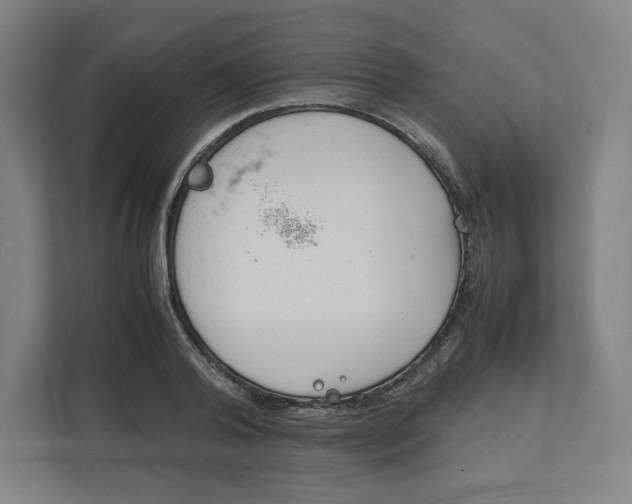 X0000111950792200908171317