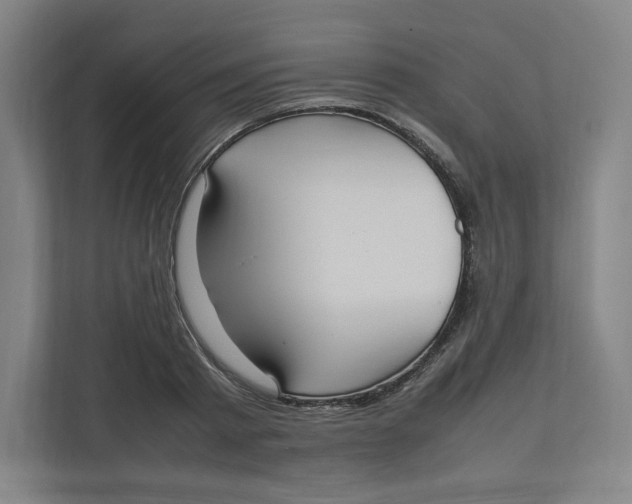 X0000111950793200908171316