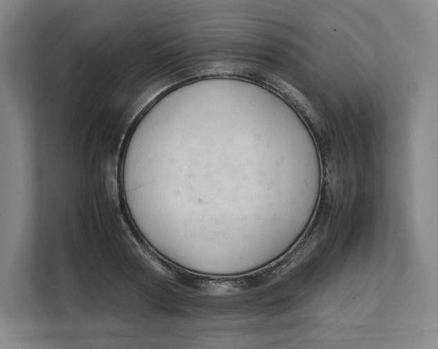 X0000111950794200908171316