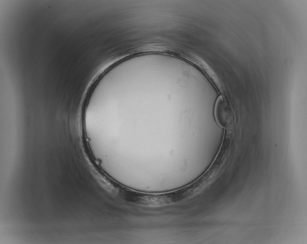 X0000111950795200908171316