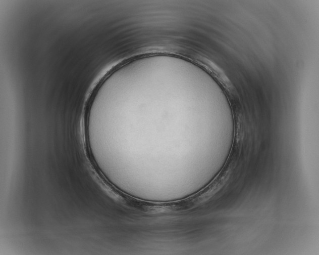 X0000111950796200908171316