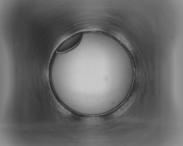 X0000111950797200908171316