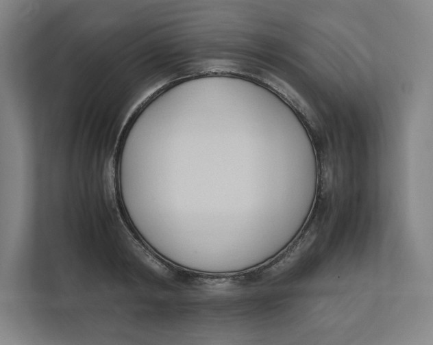 X0000111950798200908171316