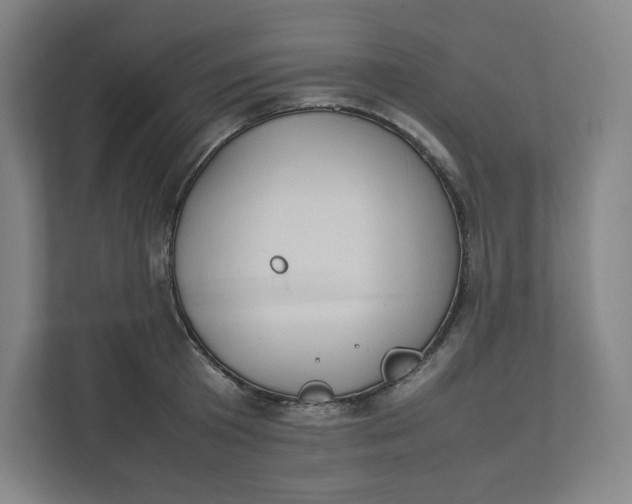 X0000111950801200908171316