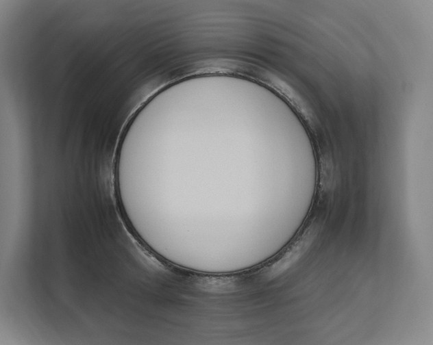 X0000111950802200908171316