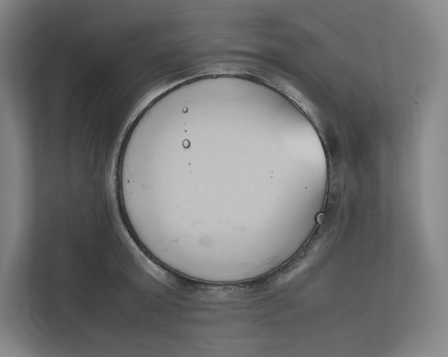 X0000111950803200908171316