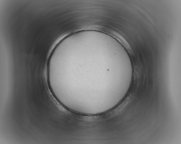 X0000111950804200908171316