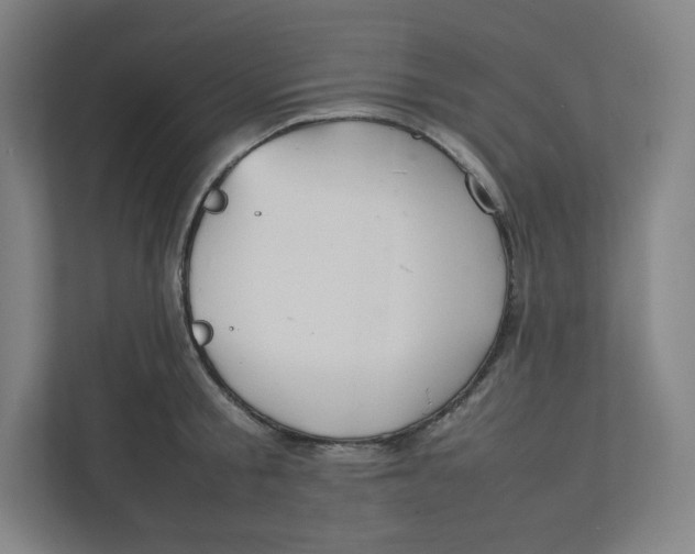 X0000111950805200908171316