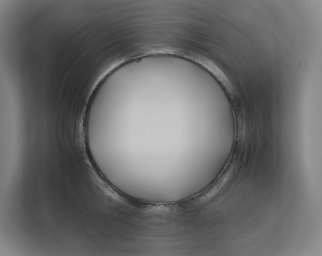 X0000111950806200908171316