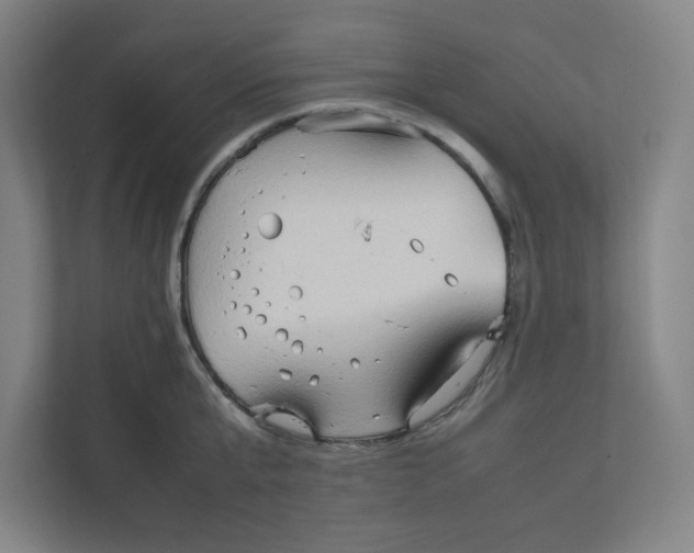 X0000111950807200908171316