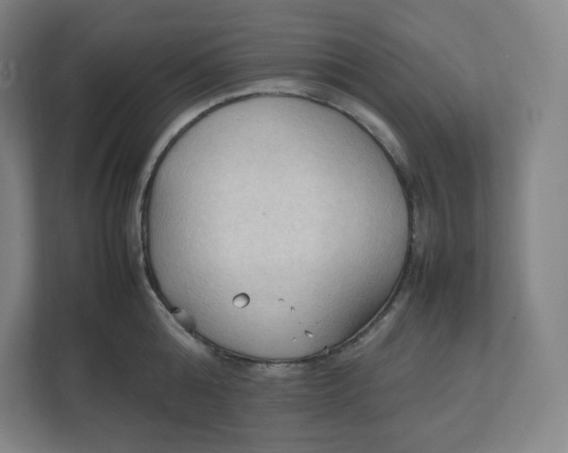 X0000111950808200908171316